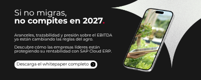 outsourcing-de-procesos