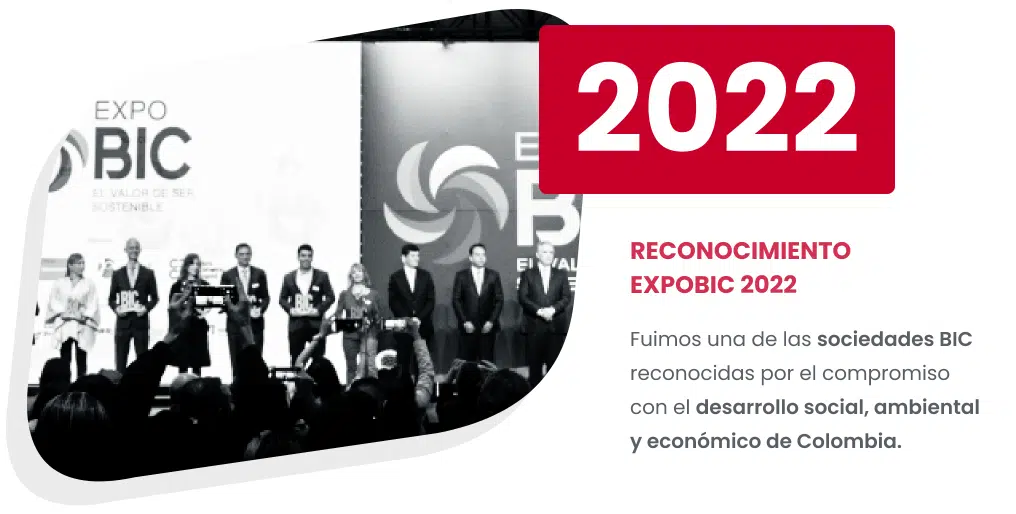 Imagen del carrusel