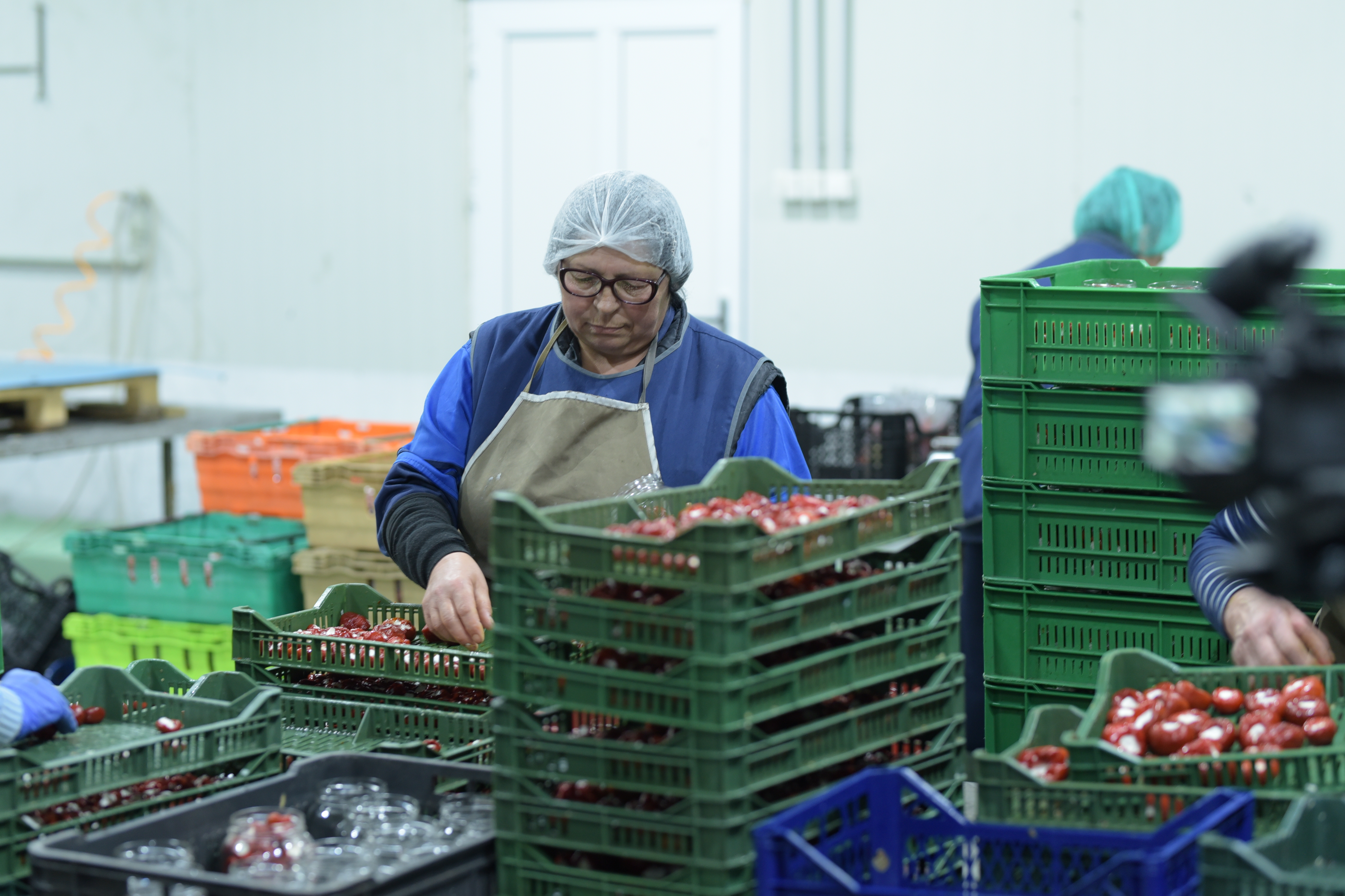 product-preparation-distribution-2
