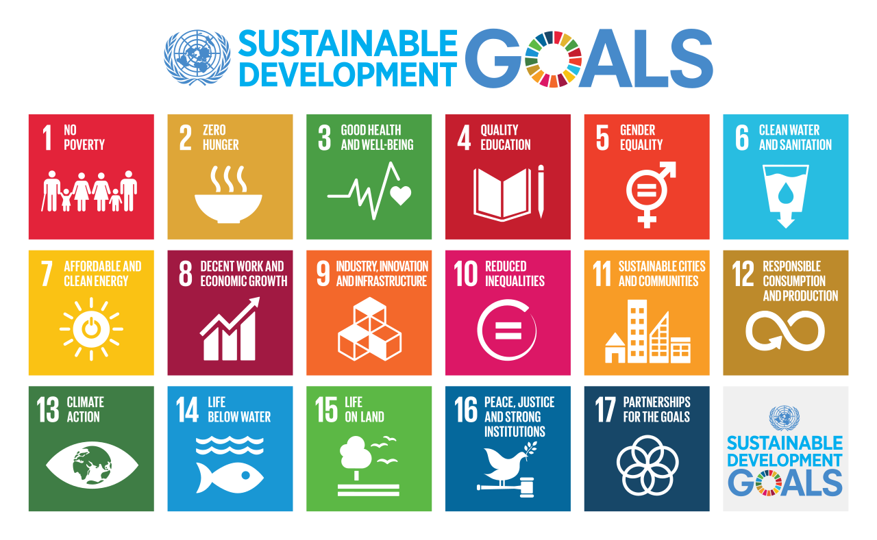 Sustainable Development Goals chart.svg
