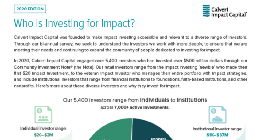 2020-investor-infographic-thumbnail