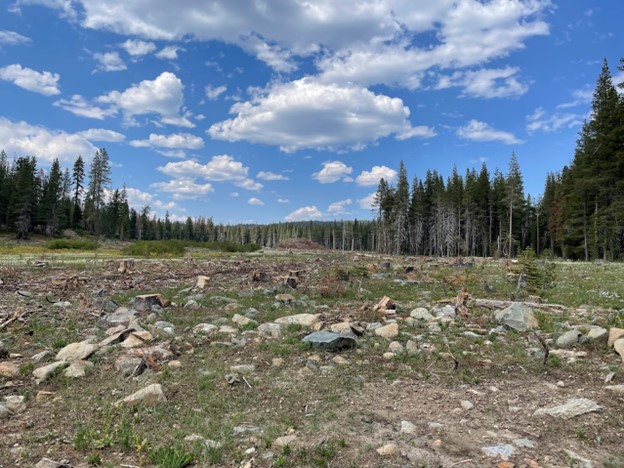 Active work site for Yuba I meadow restoration