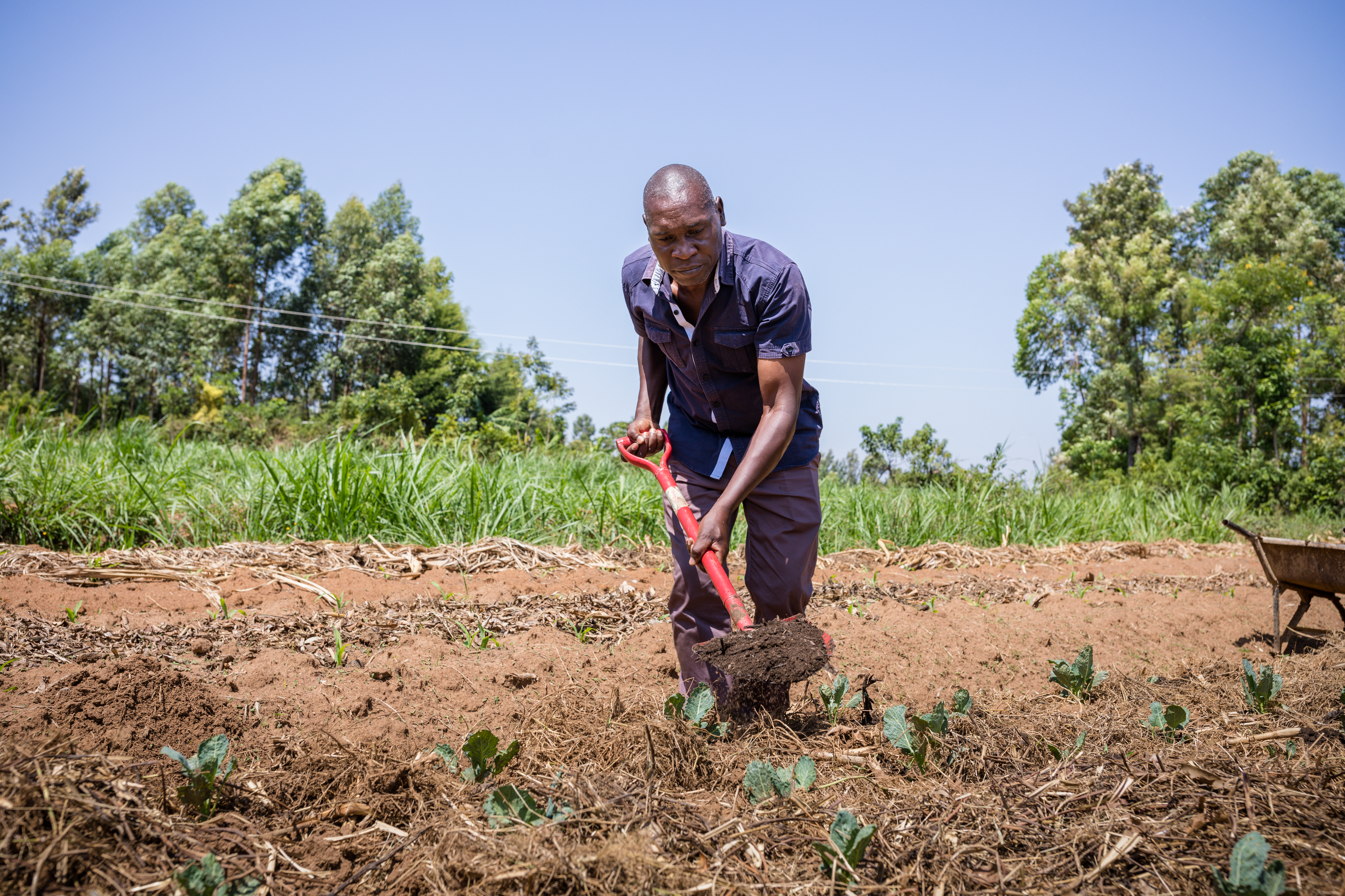 Kenya Kakamega Agriculture James Titia