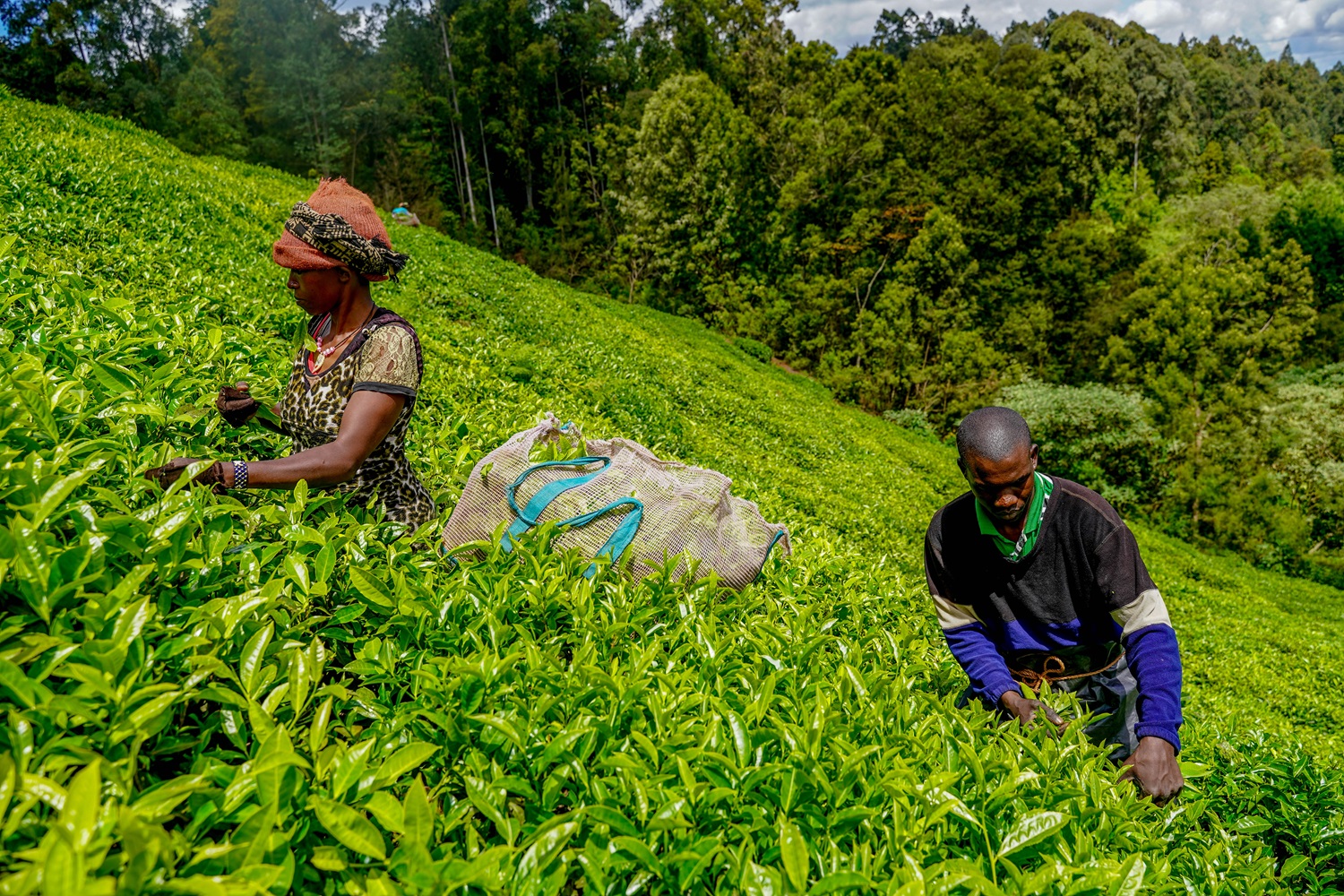 Kenya-Eco fund 1