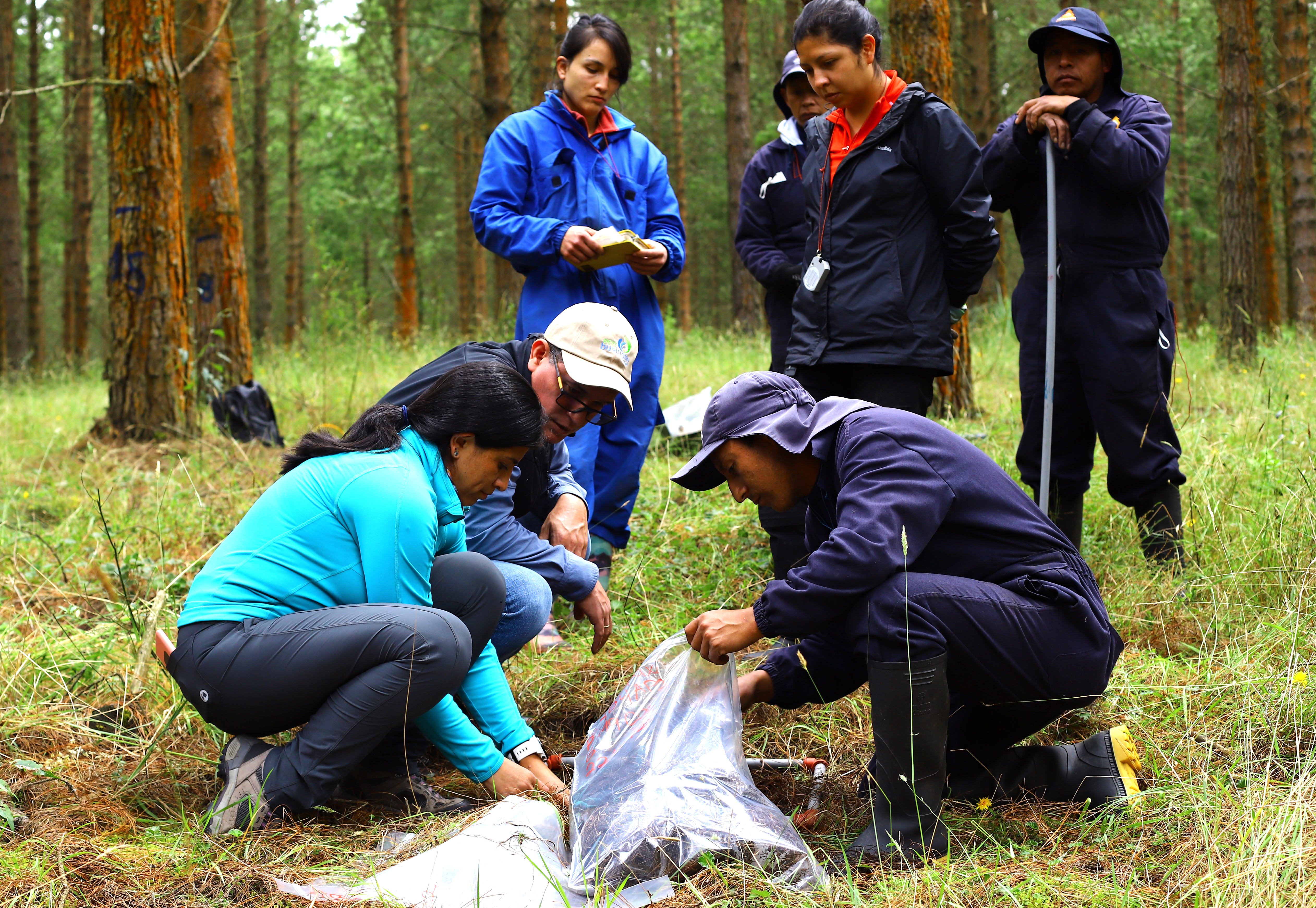 eco.business-ecuador-cotopaxi