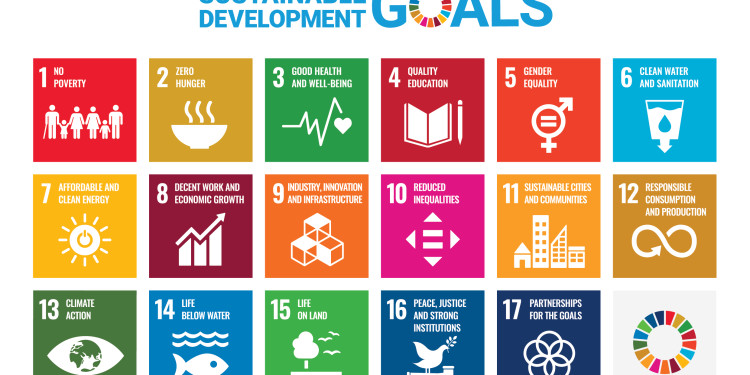 Sustainable Development Goals Calvert Impact Capital Sustainable Development Goals Calvert Impact Capital