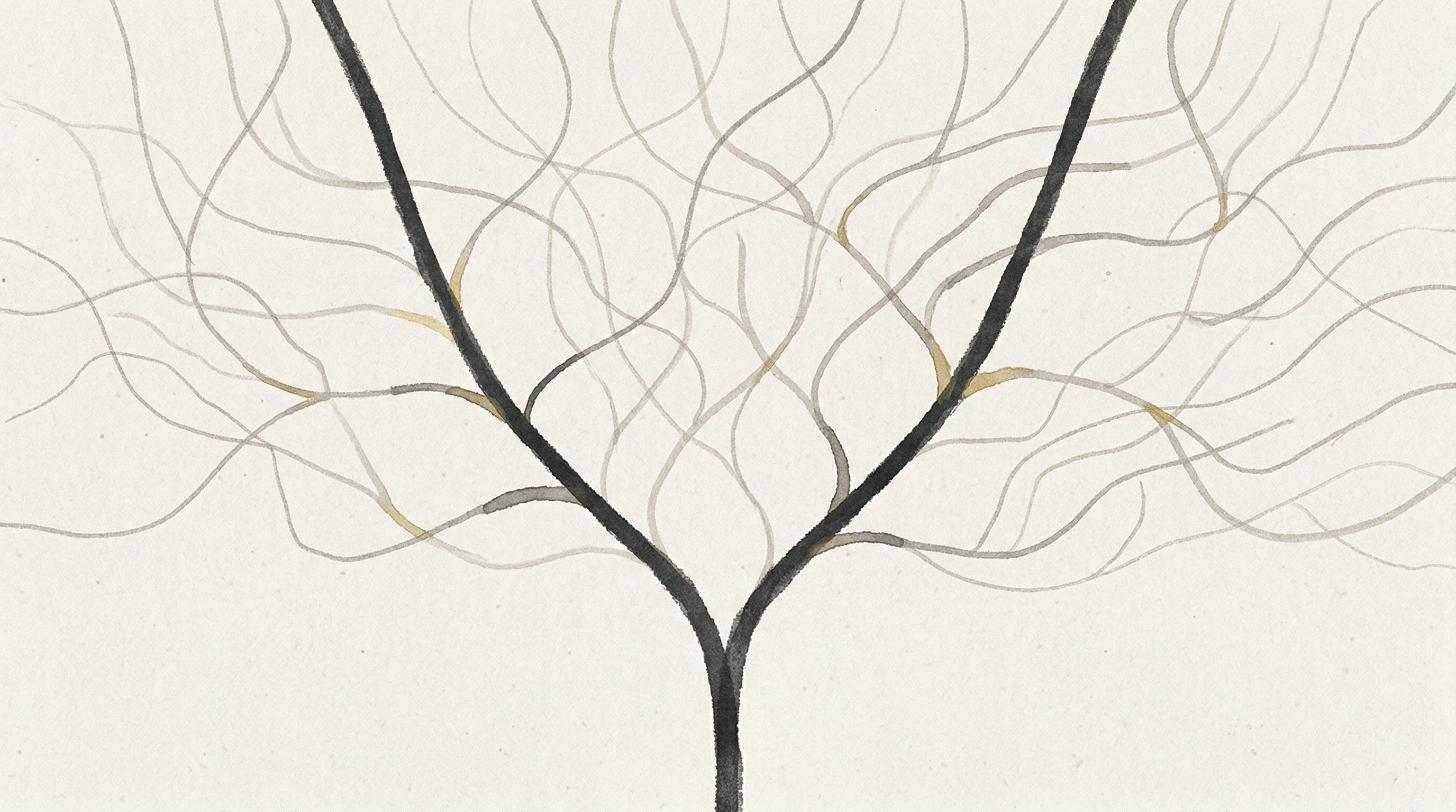 Desired behaviour for AI advising humans on important decisions