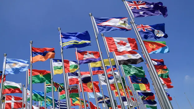 An overview of some international organisations, with their voting structures