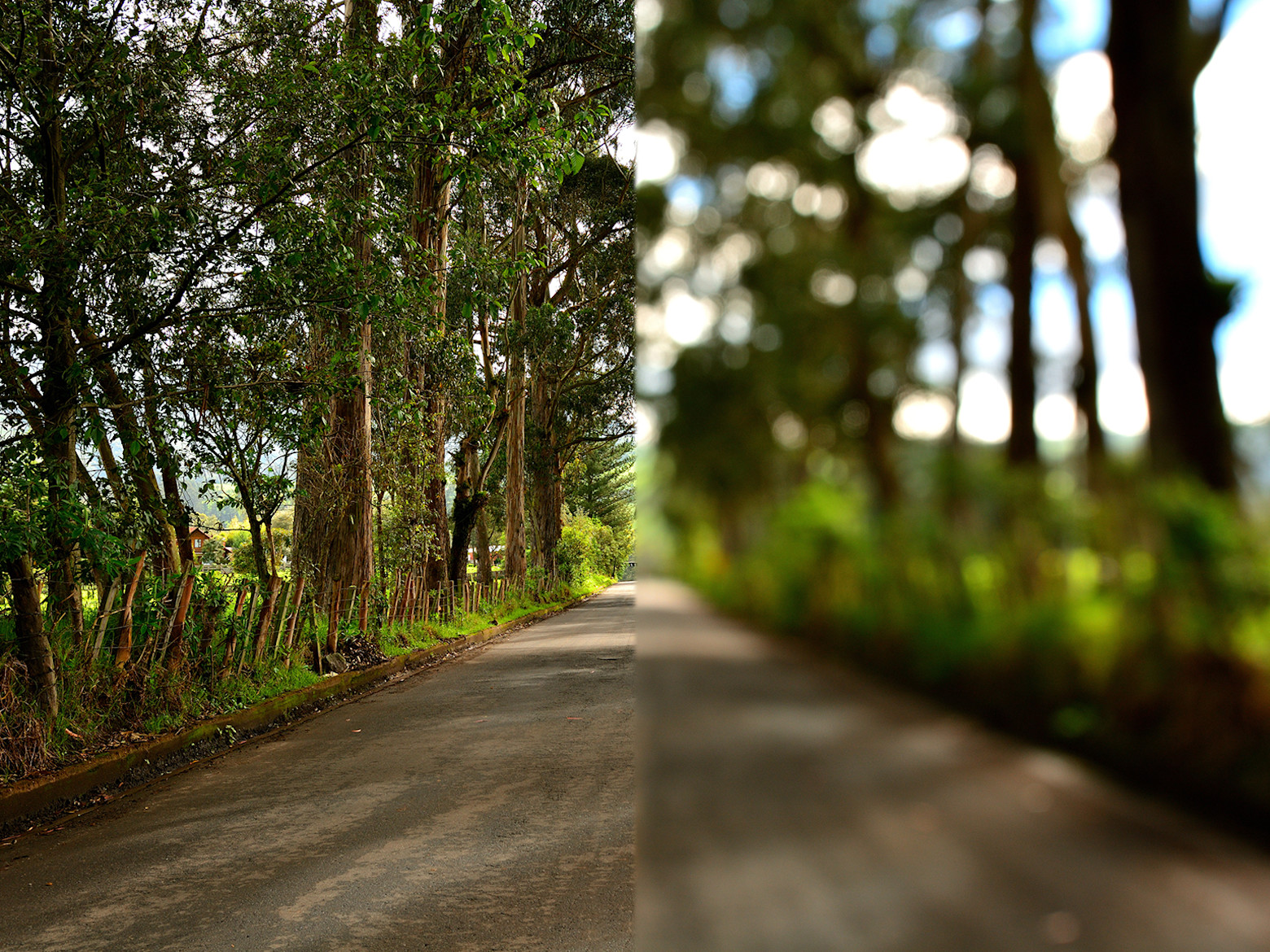 What Do People See When They Look At Your Tiktok Profile What Do People See When They Look At Your Tiktok Profile