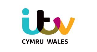 Logo of Wales Programmes