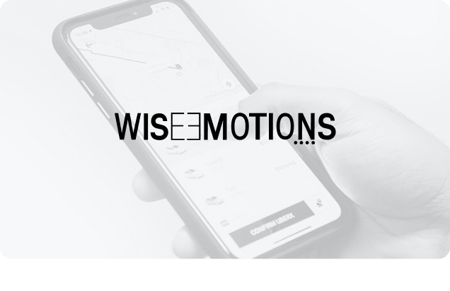 Wise Emotions