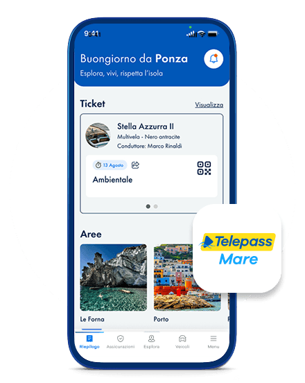 Supporto App Cookie Policy Privati App Telepass Mare Image