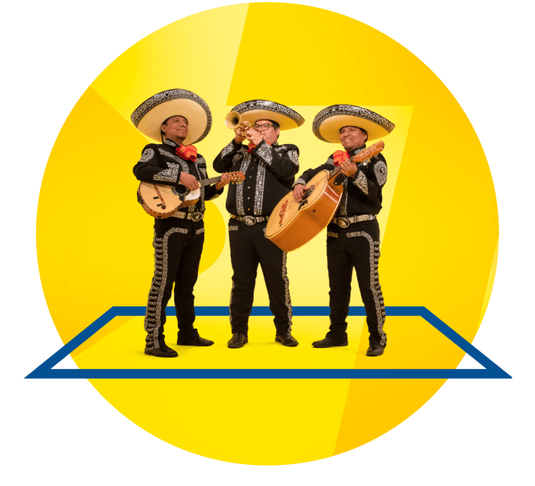 Servizio Strisce Blu