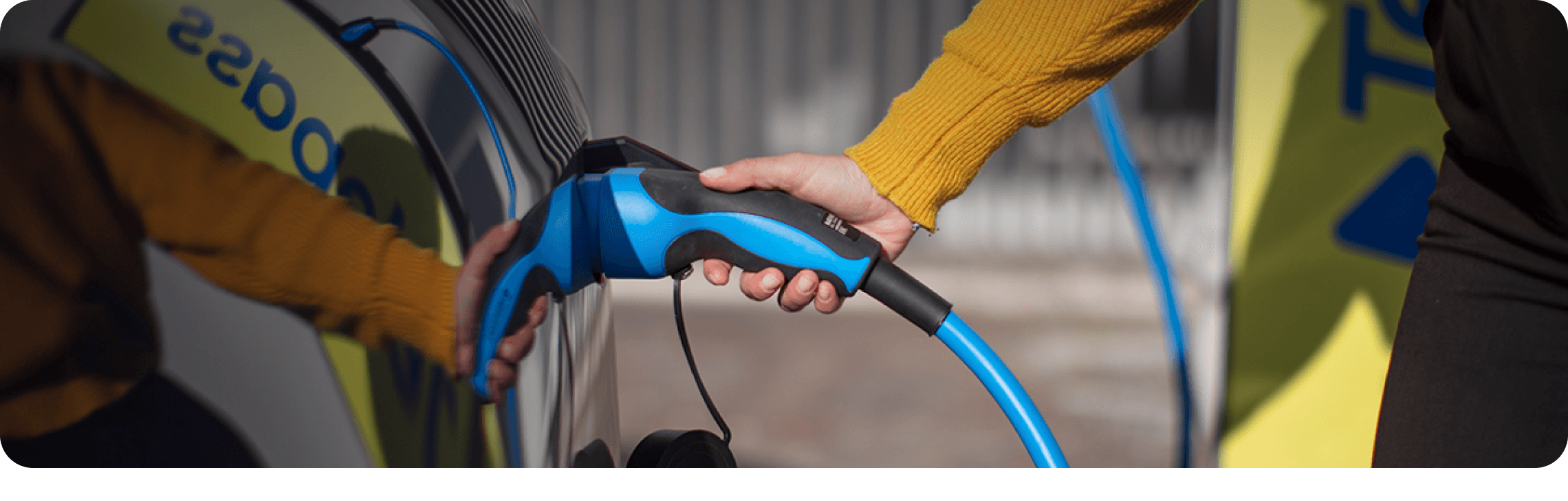 Sostenibilità Open Banner