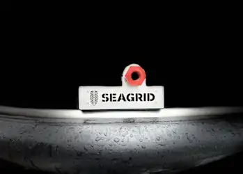 Seagrid