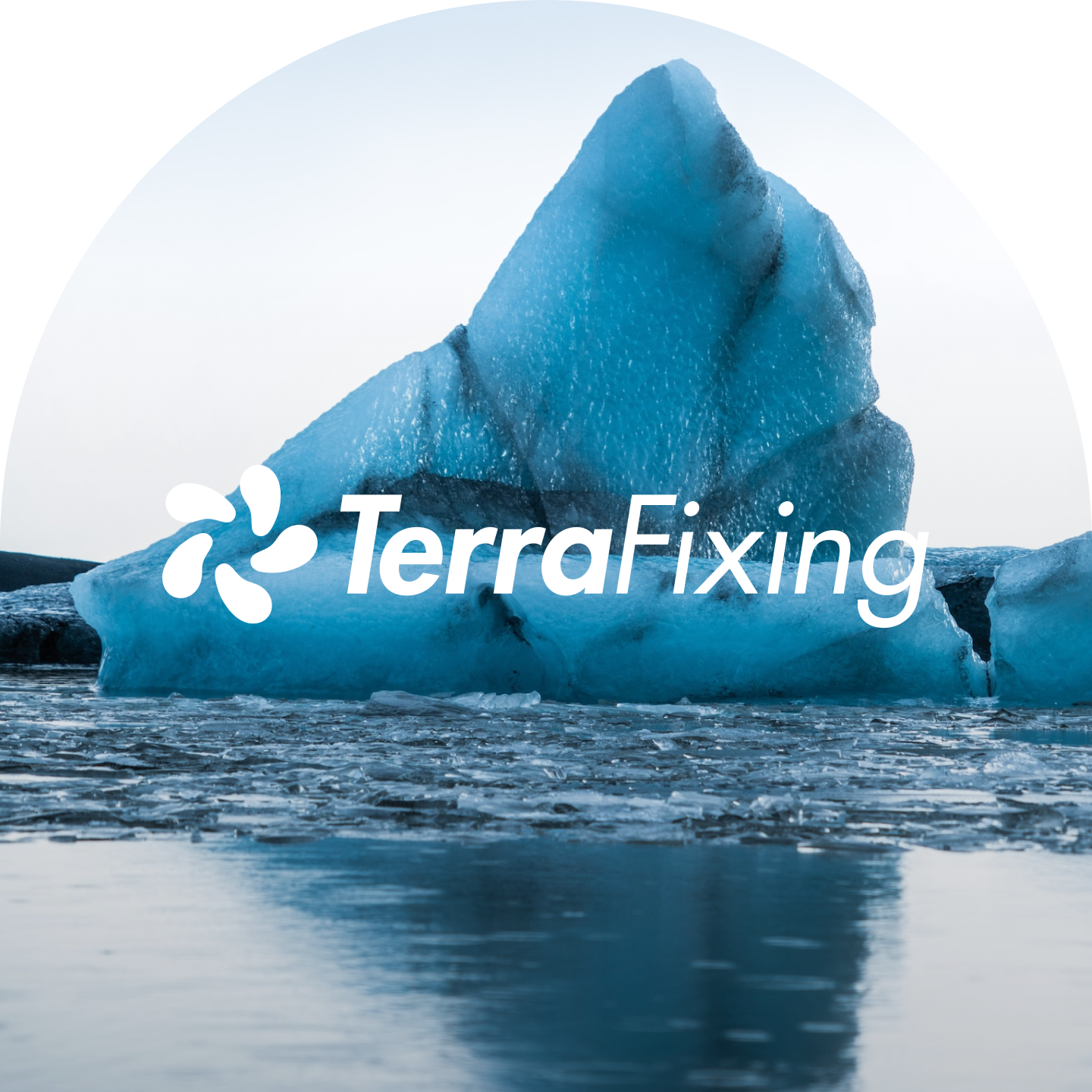 TerraFixing