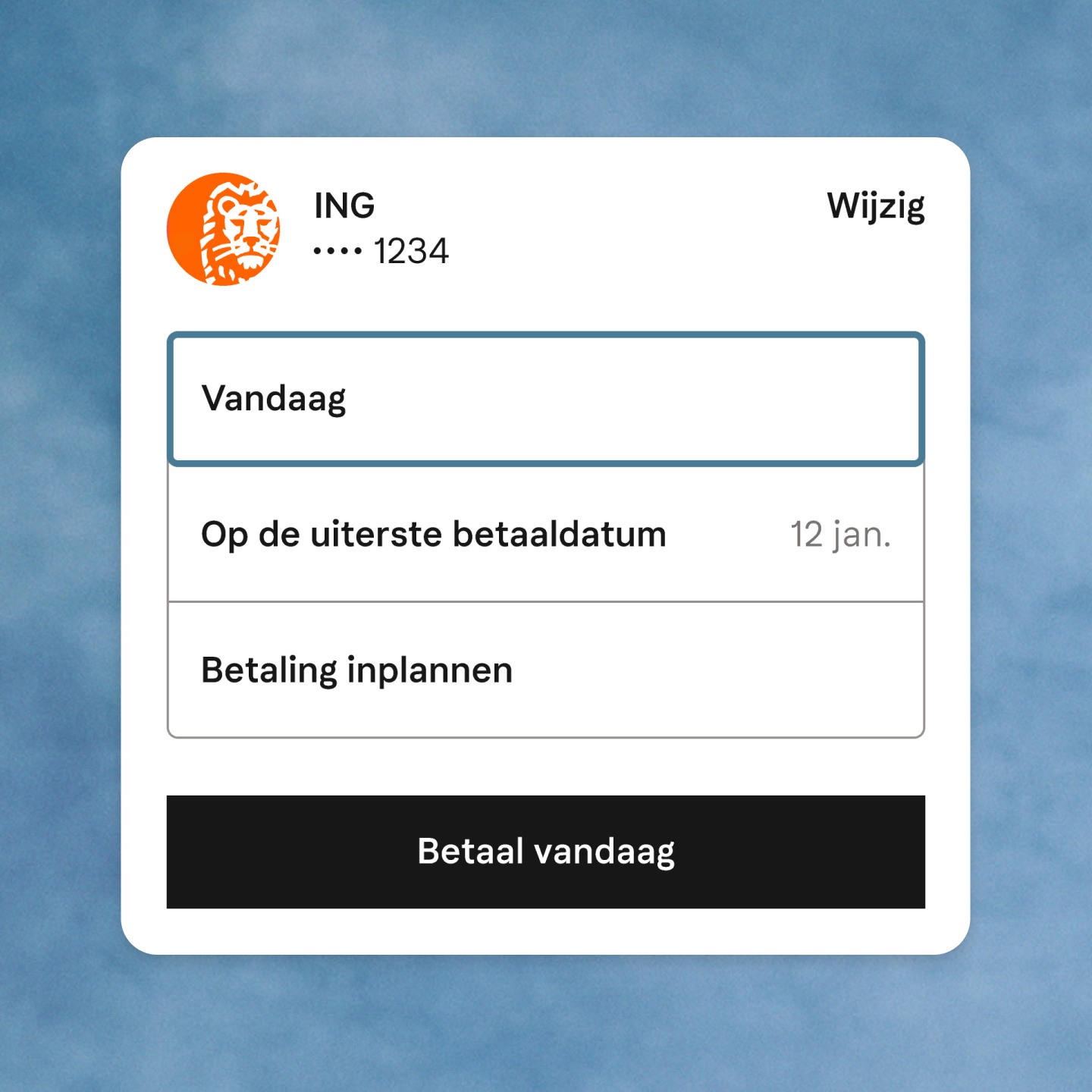 Betalen met | Nederland