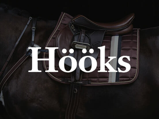 Hööks-hoCC88oCC88ks-1024x768.jpg