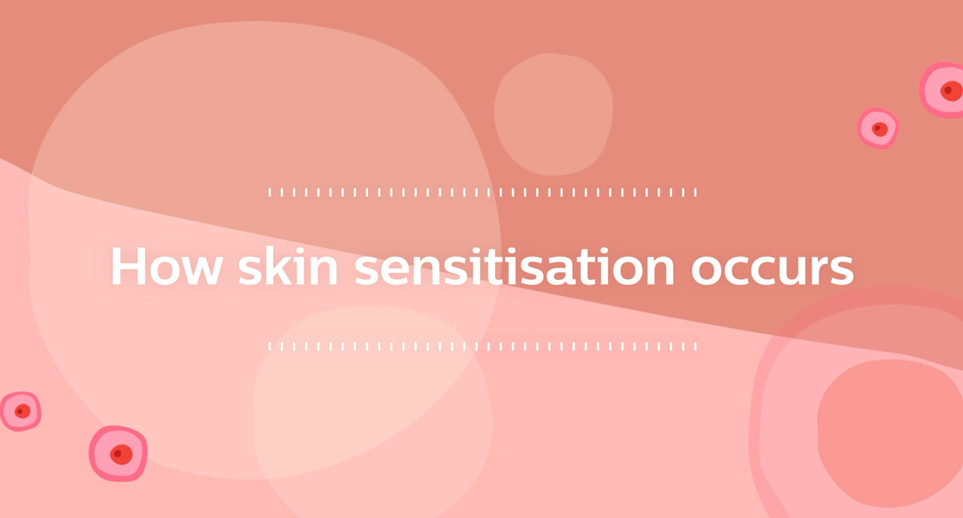 Text: Wie eine Hautallergie entsteht