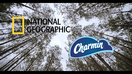 Sustainable Forestry | Charmin® & National Geographic