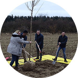 Beschäftigte des P&G-Werks Euskirchen pflanzen Bäume