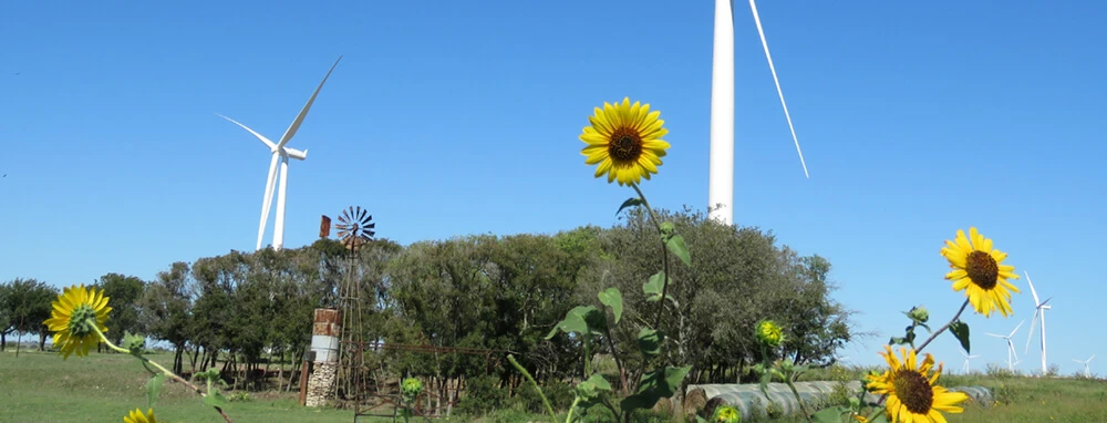 Tyler Bluff Wind Farm