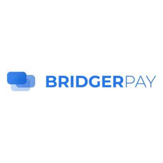 BridgerPay-logo-png