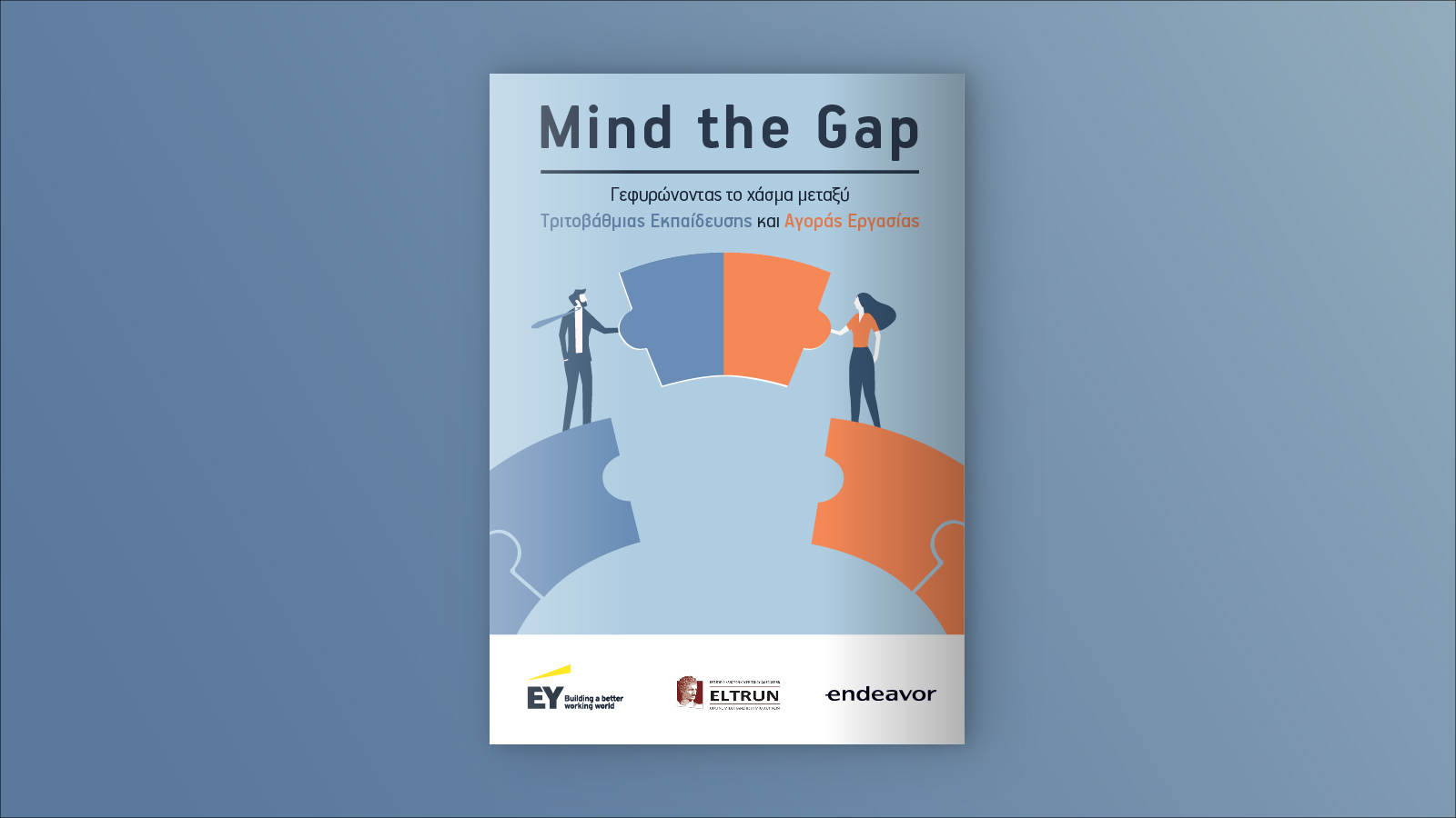 Mind the Gap: Bridging the gap between Higher Education and the Labor Market