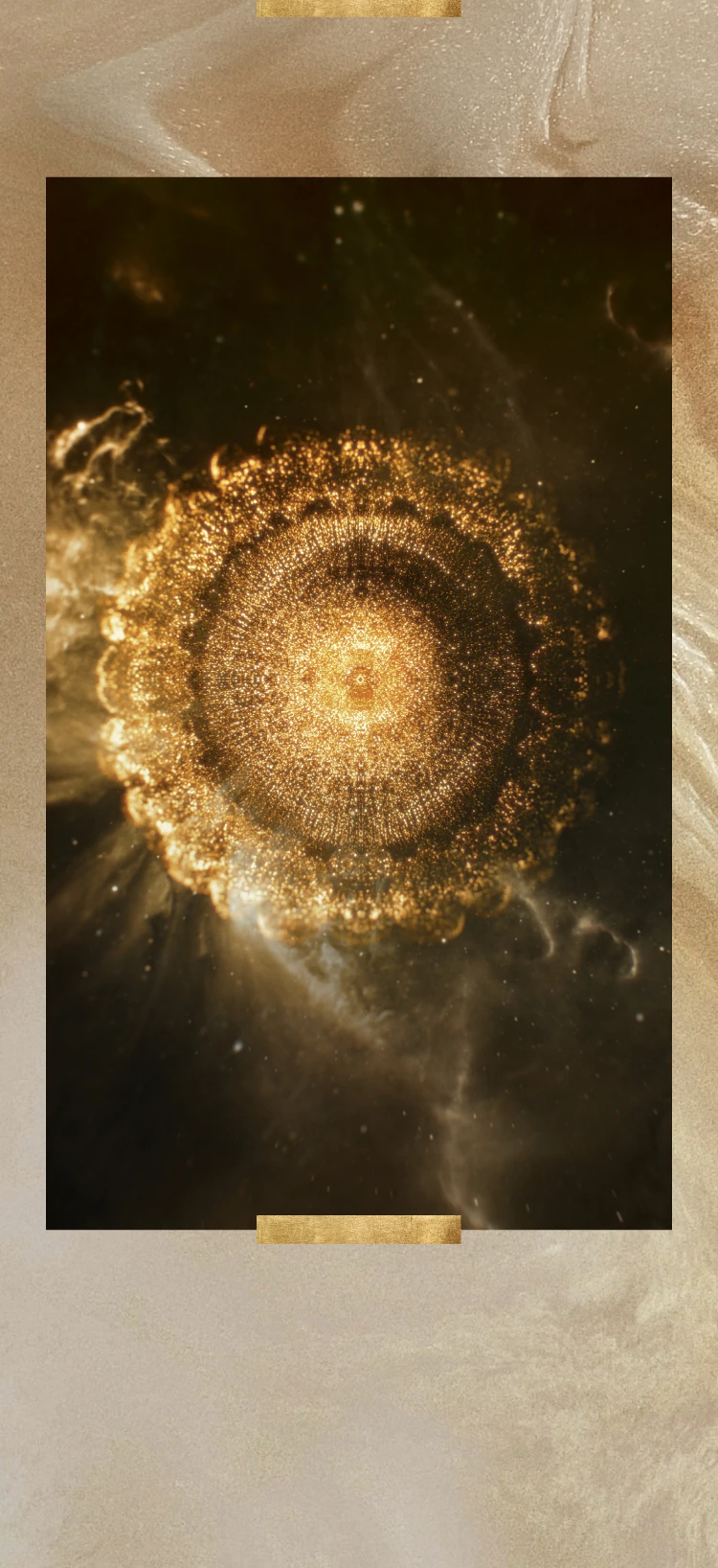 2026 - Festive Gifting SPX - 8x PITERA - BG Image