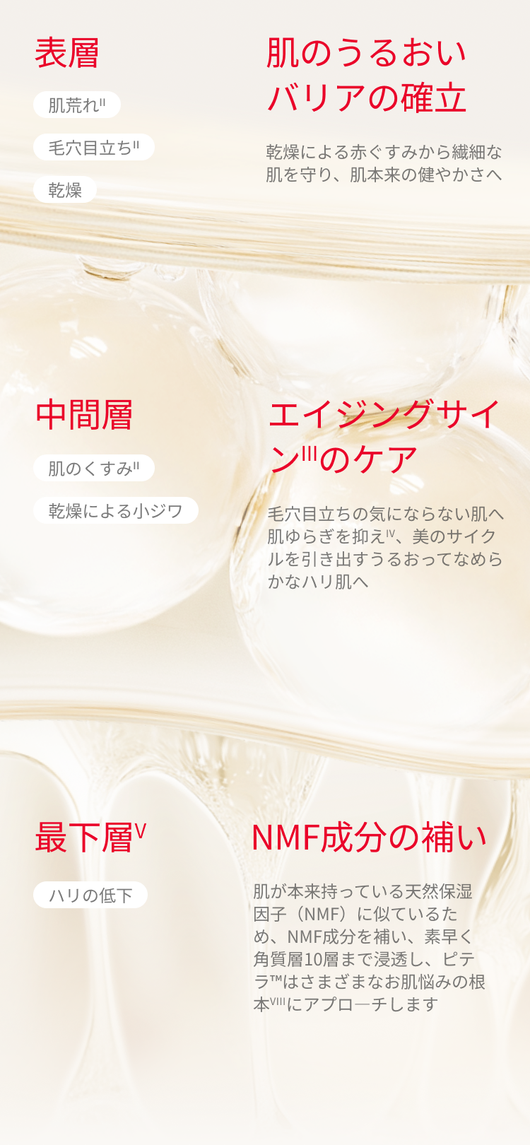BS1529/CD/2点セット/ヒーリングパラドックス /特定法人限定特典付き 
