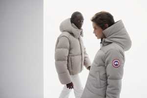 Canada Goose background
