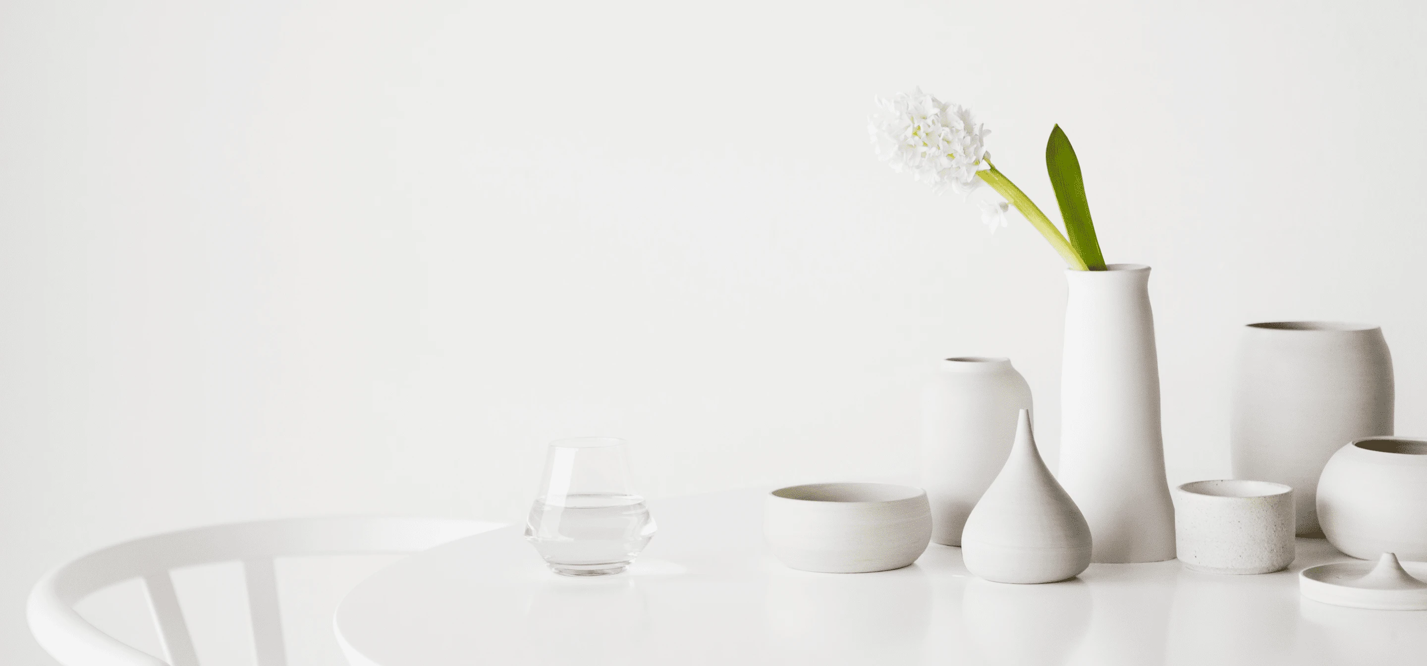 Image of a plant in a white vase on a white table with a white background