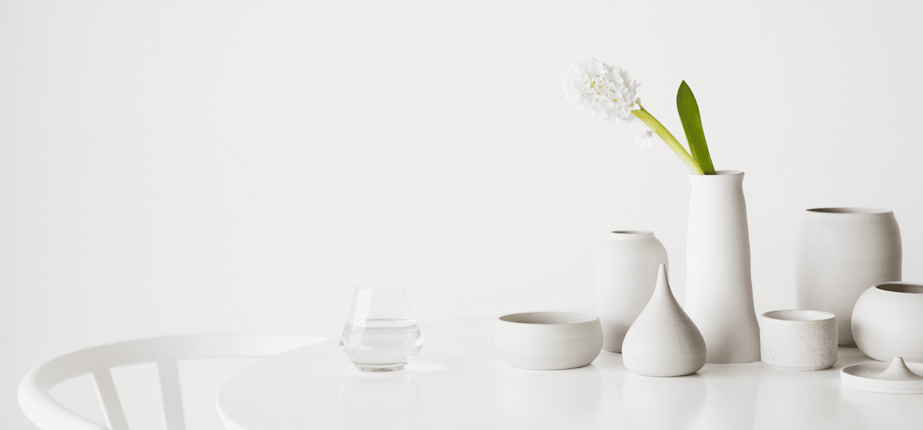 Image of a plant in a white vase on a white table with a white background