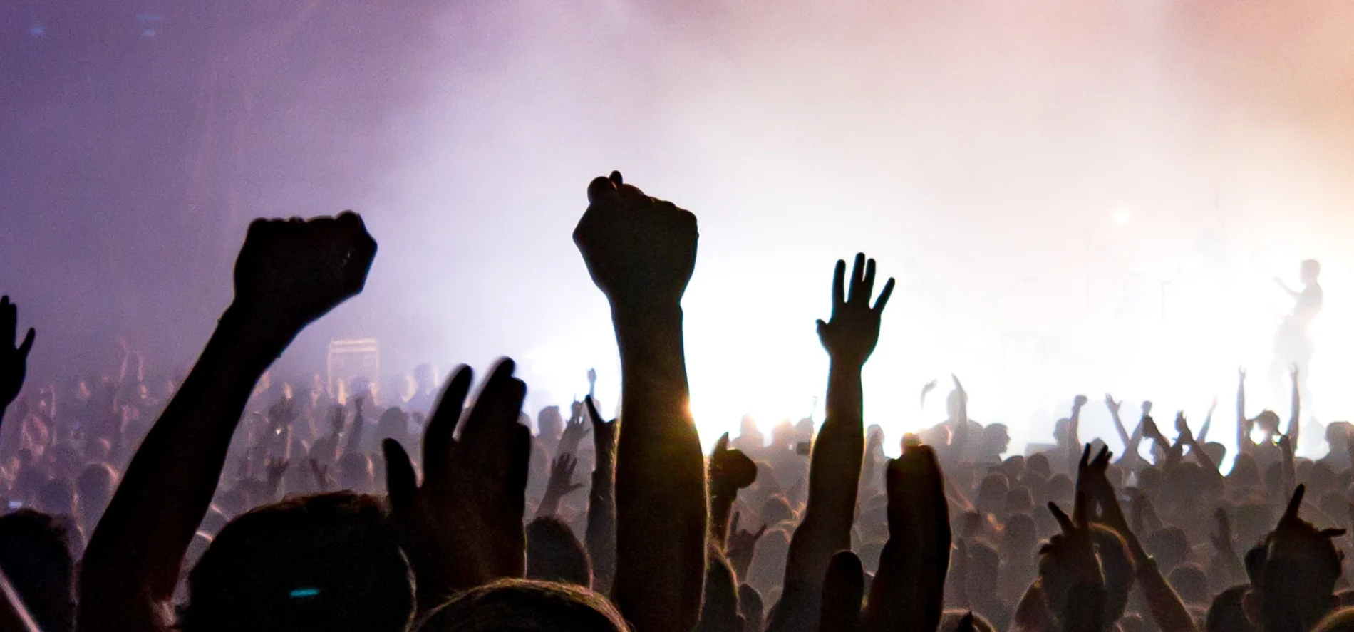 Image of a crowd of people at a concert event