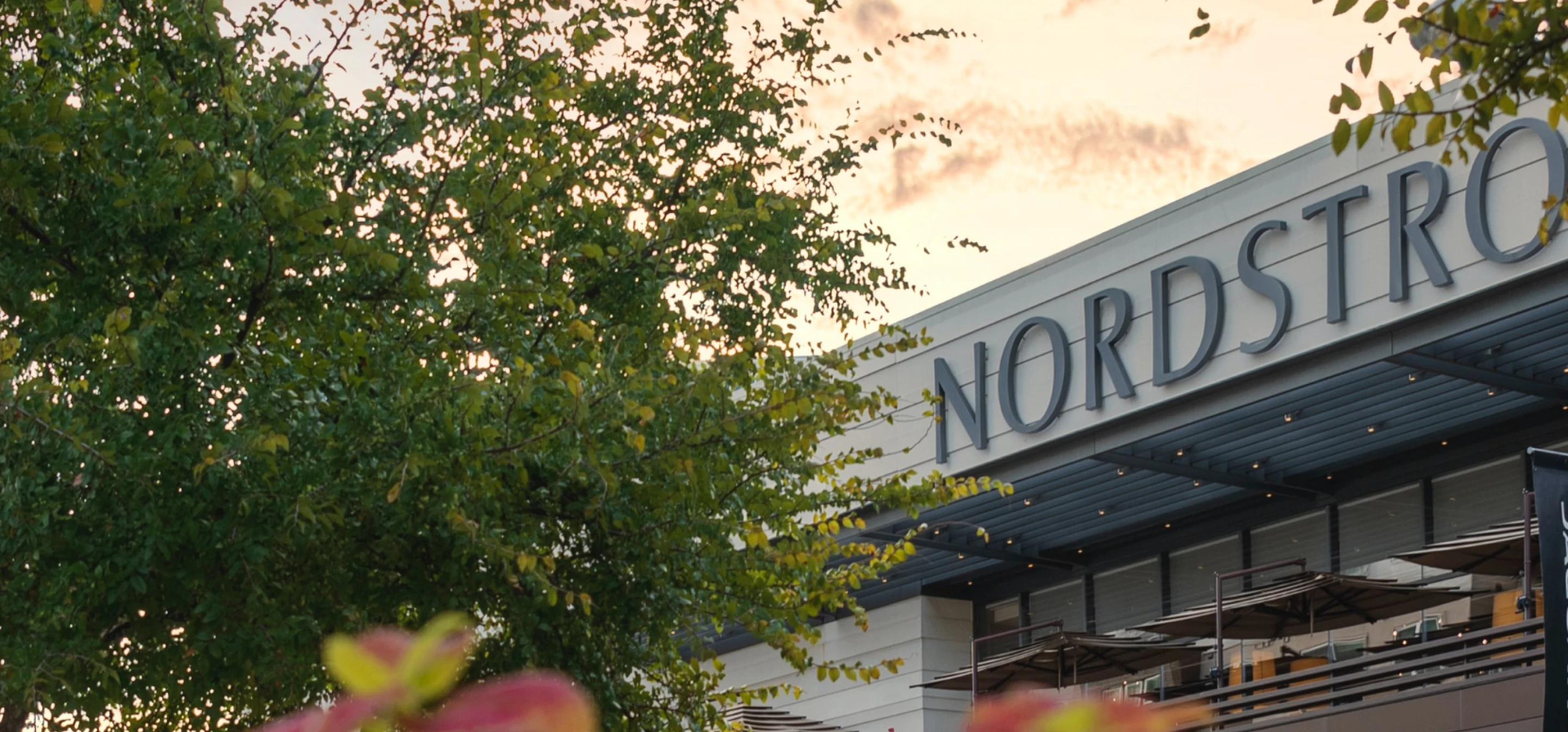 Image of Nordstrom storefront with a tree in the foreground