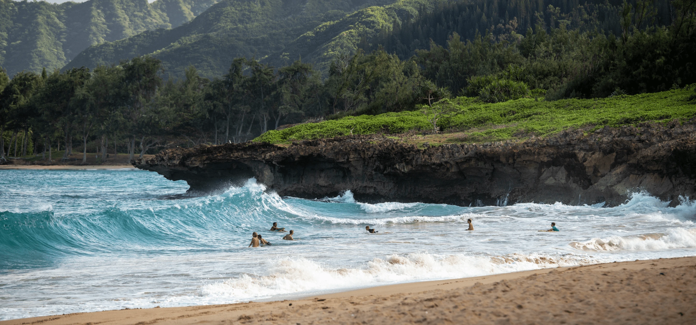 Image of a beach with waves and surfers