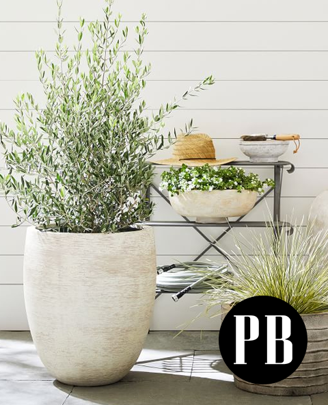 Image of a large terra cotta planter