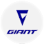 Giant Bicycles logo2