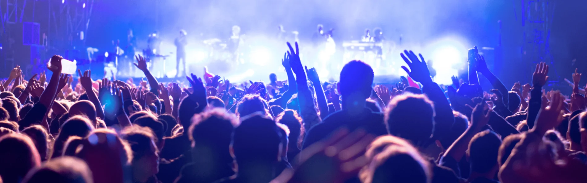 Image of many people at a concert