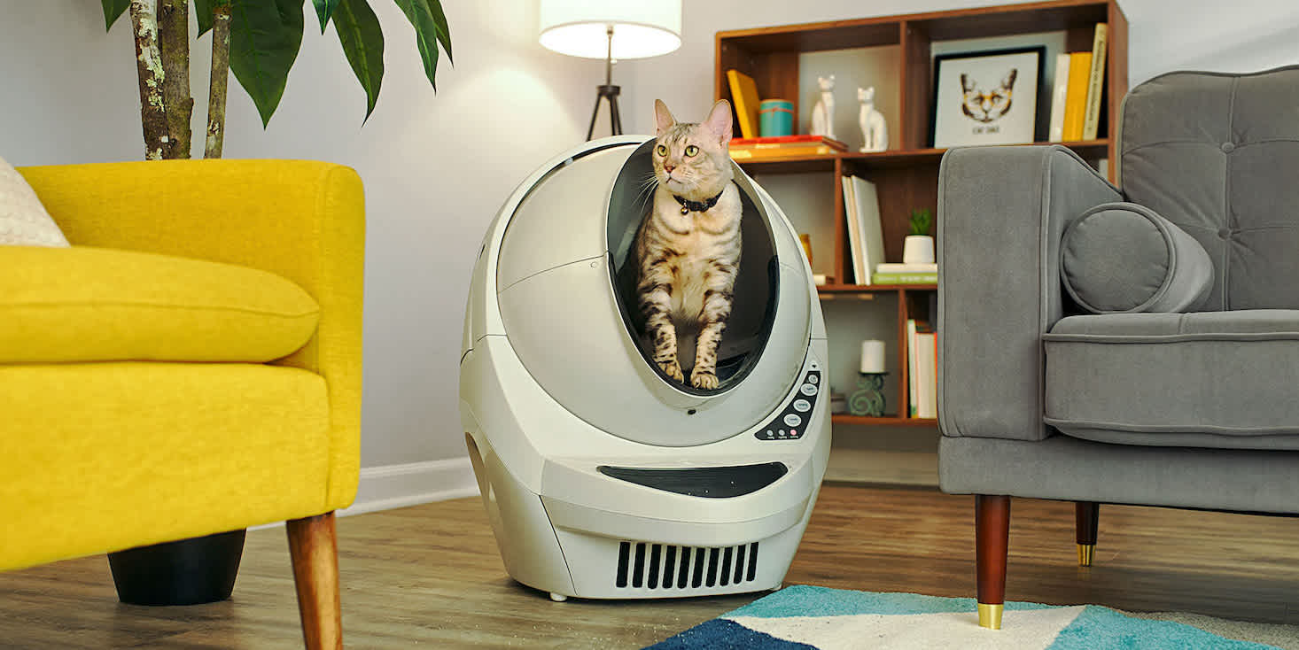 Photo of a cat perched in a Litter Robot in a corner of a living room.