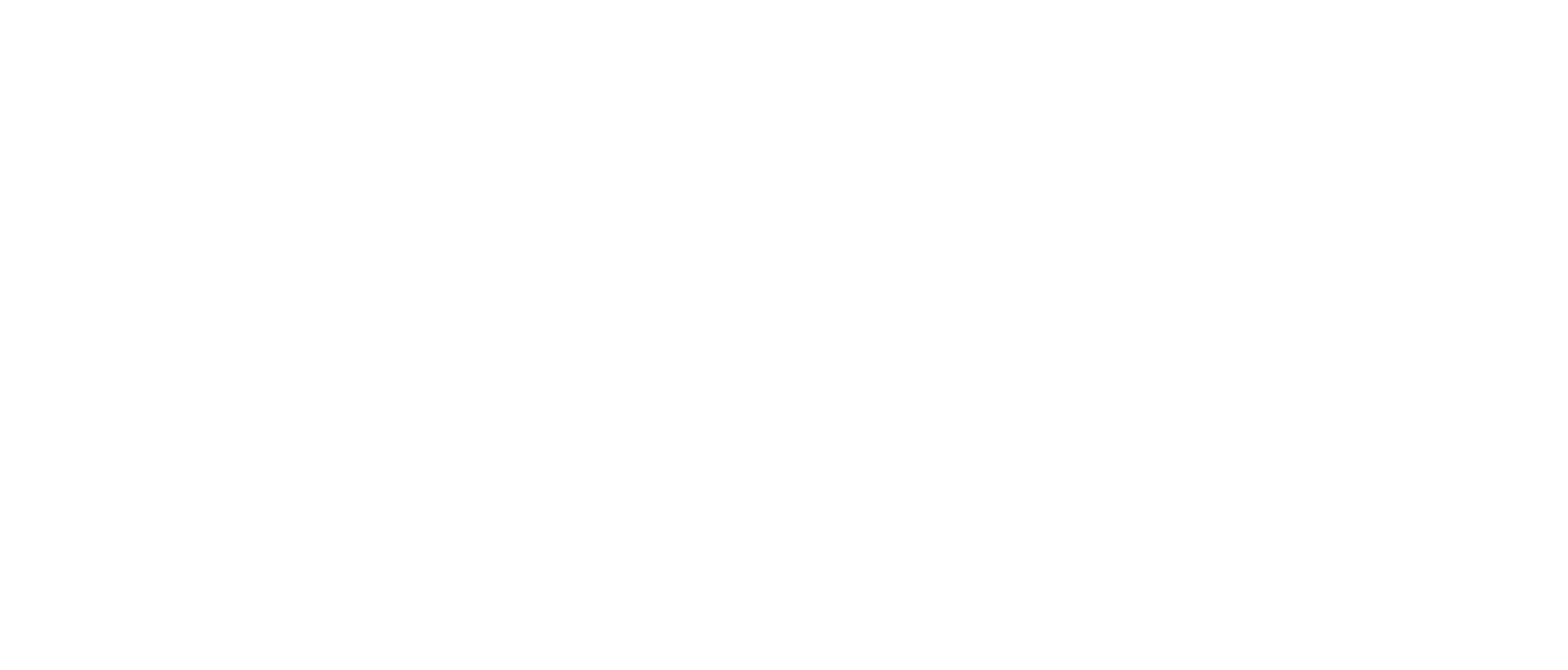 Closet Savvy Consignment logo2