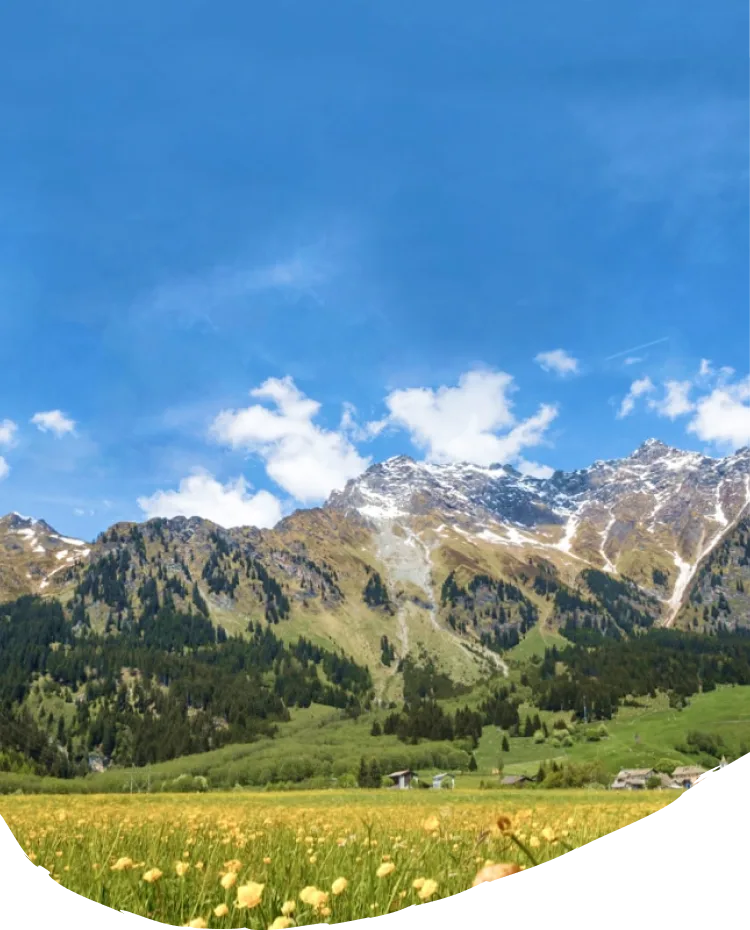 Bannerbild Alpenlandschaft