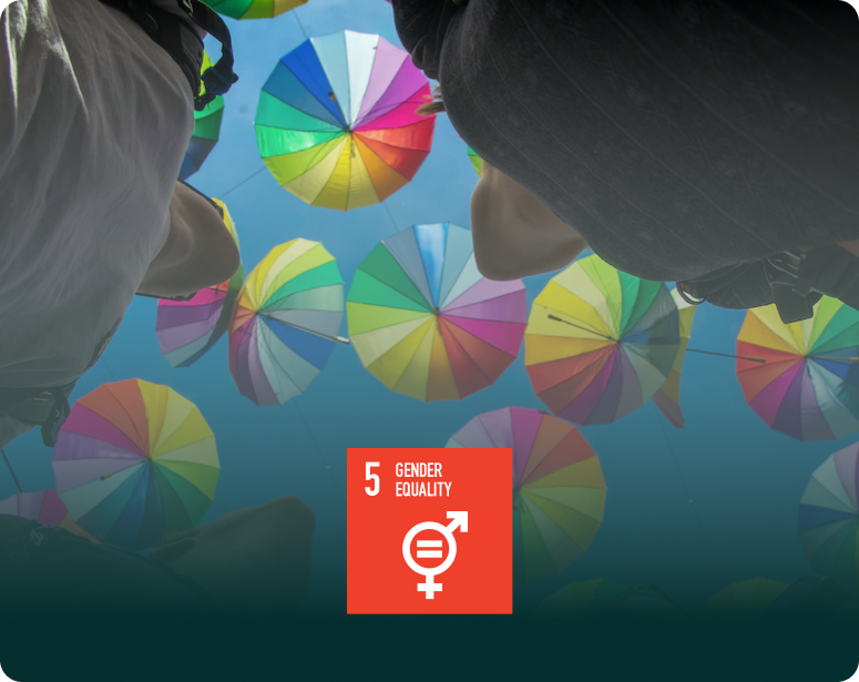 asset_media_background__GenderEquality_with_SDG