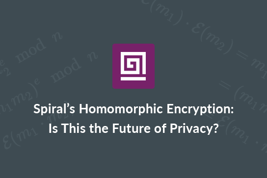 blog-Spirals-Homomorphic-Encryption (4)