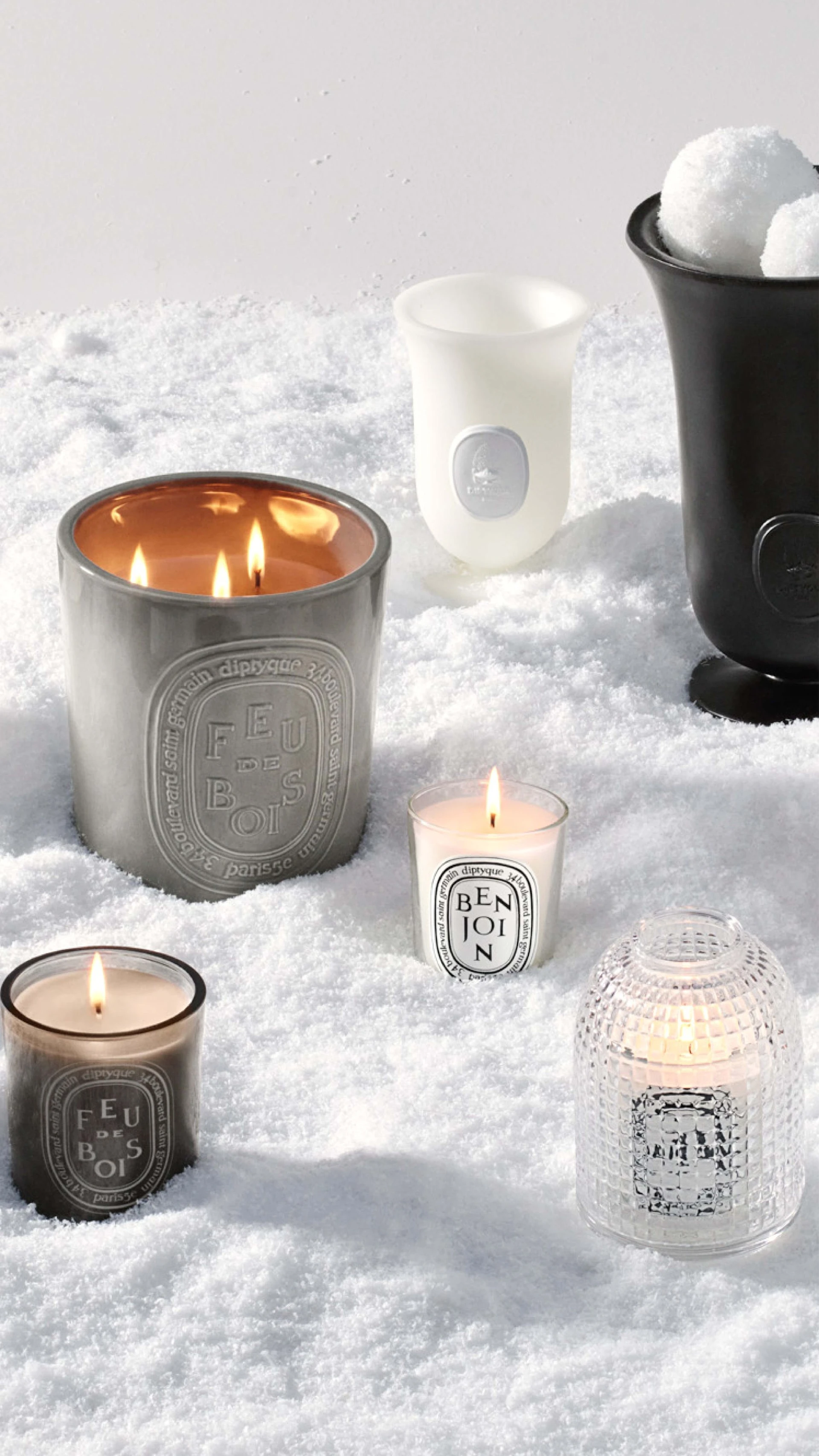Discover Winter Scents
