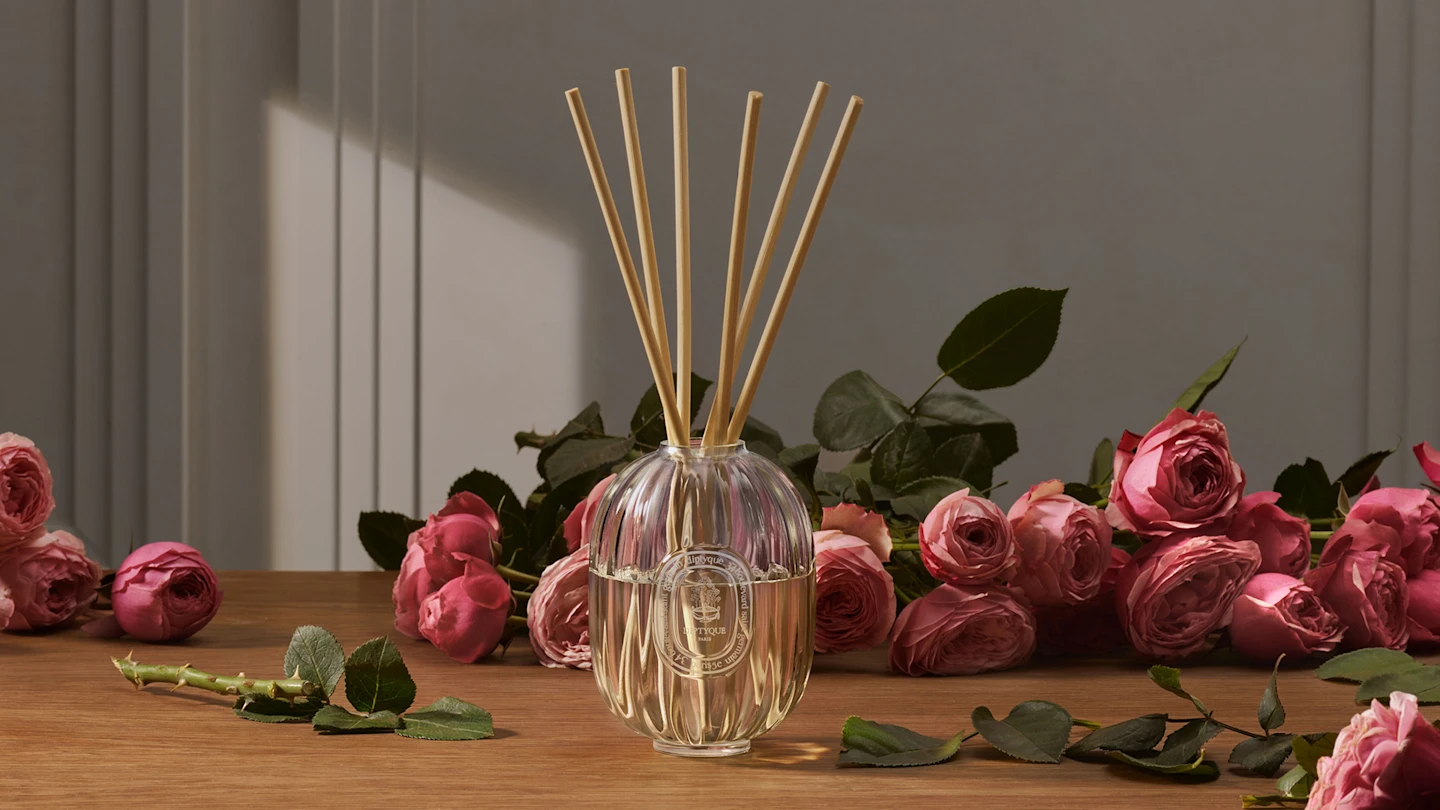 The Essence of a Timeless Bloom
