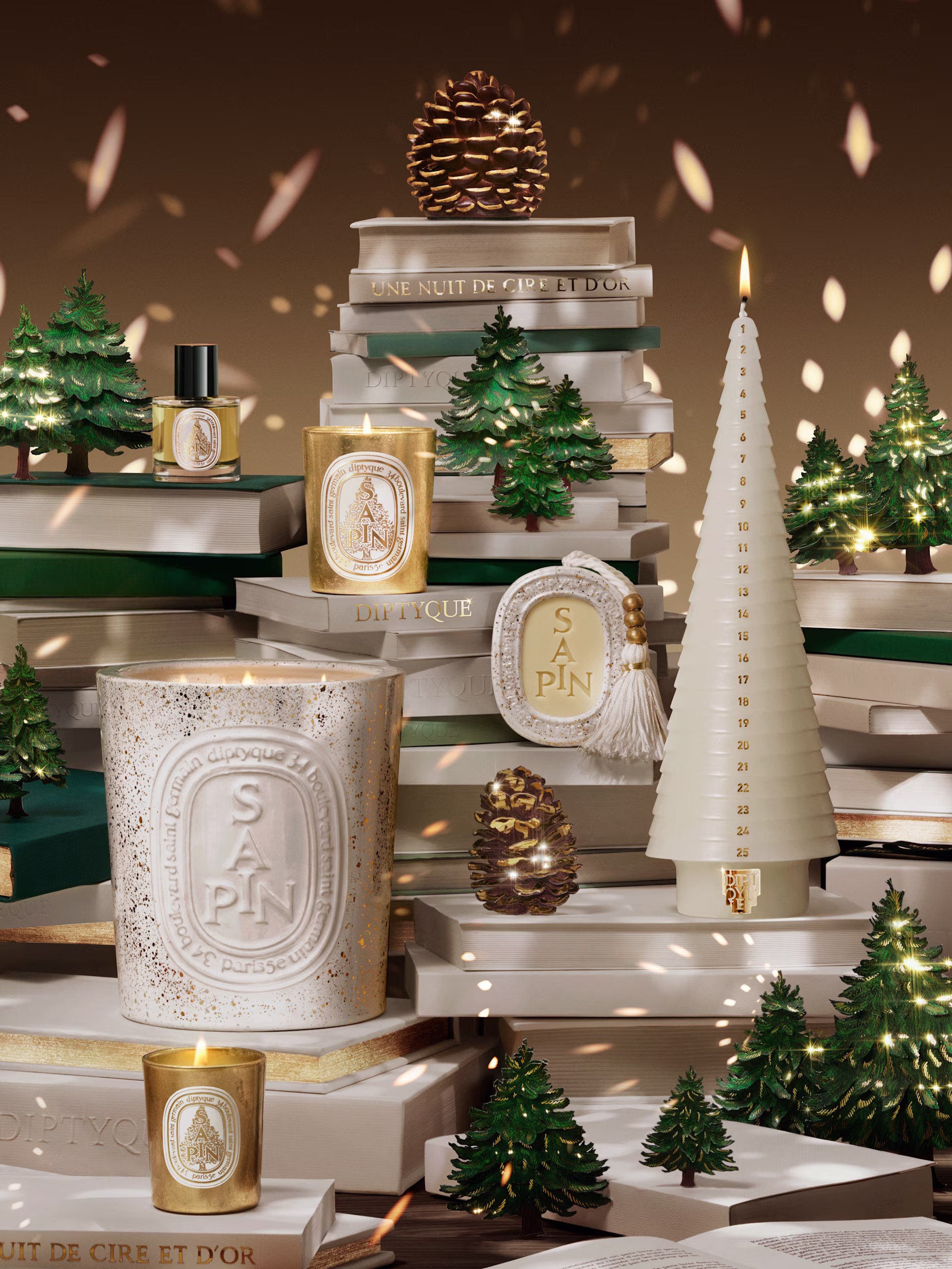 Discover an enchanted pine forest