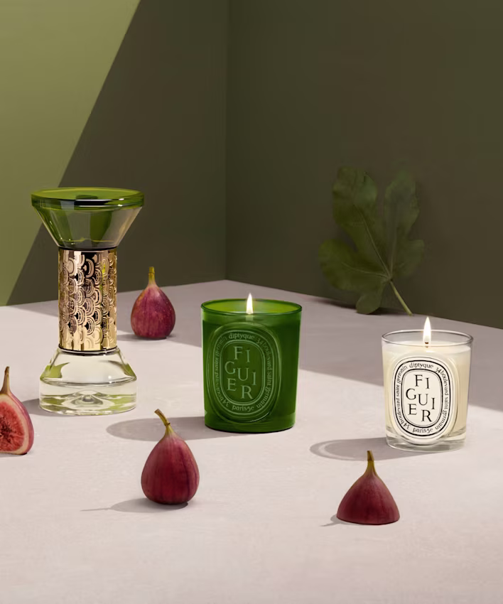 Figuier (Feigenbaum)