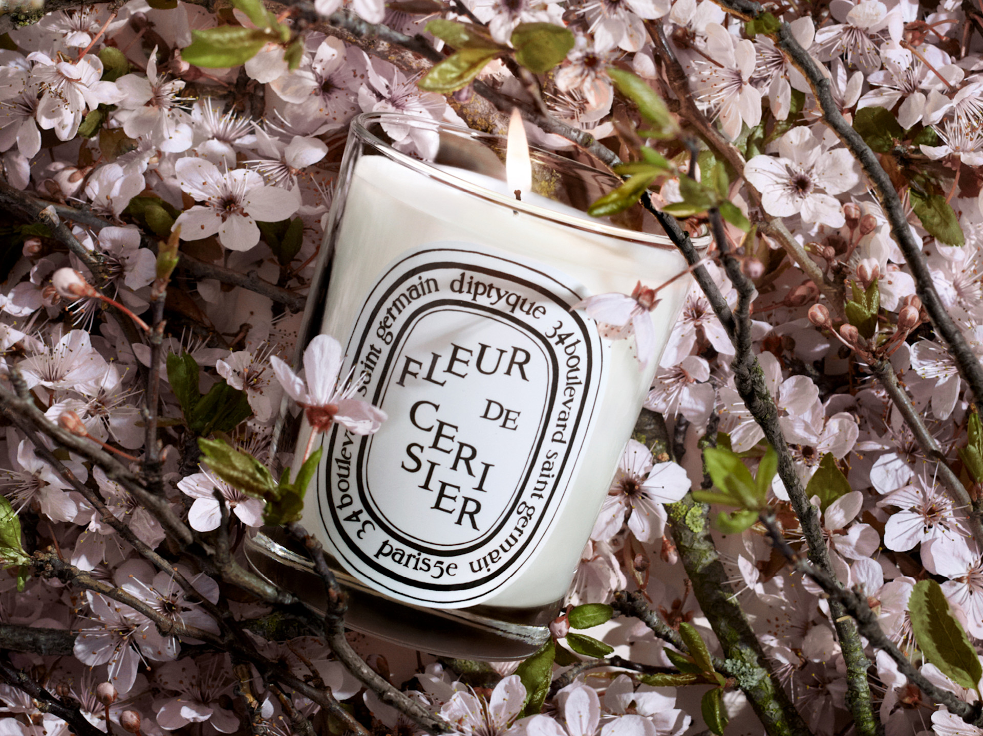 Discover the limited-edition Fleur de Cerisier (Cherry Blossom) candle