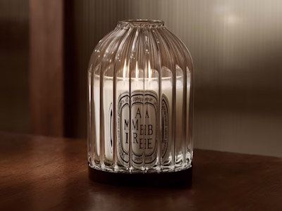 Des photophores aux mille reflets 